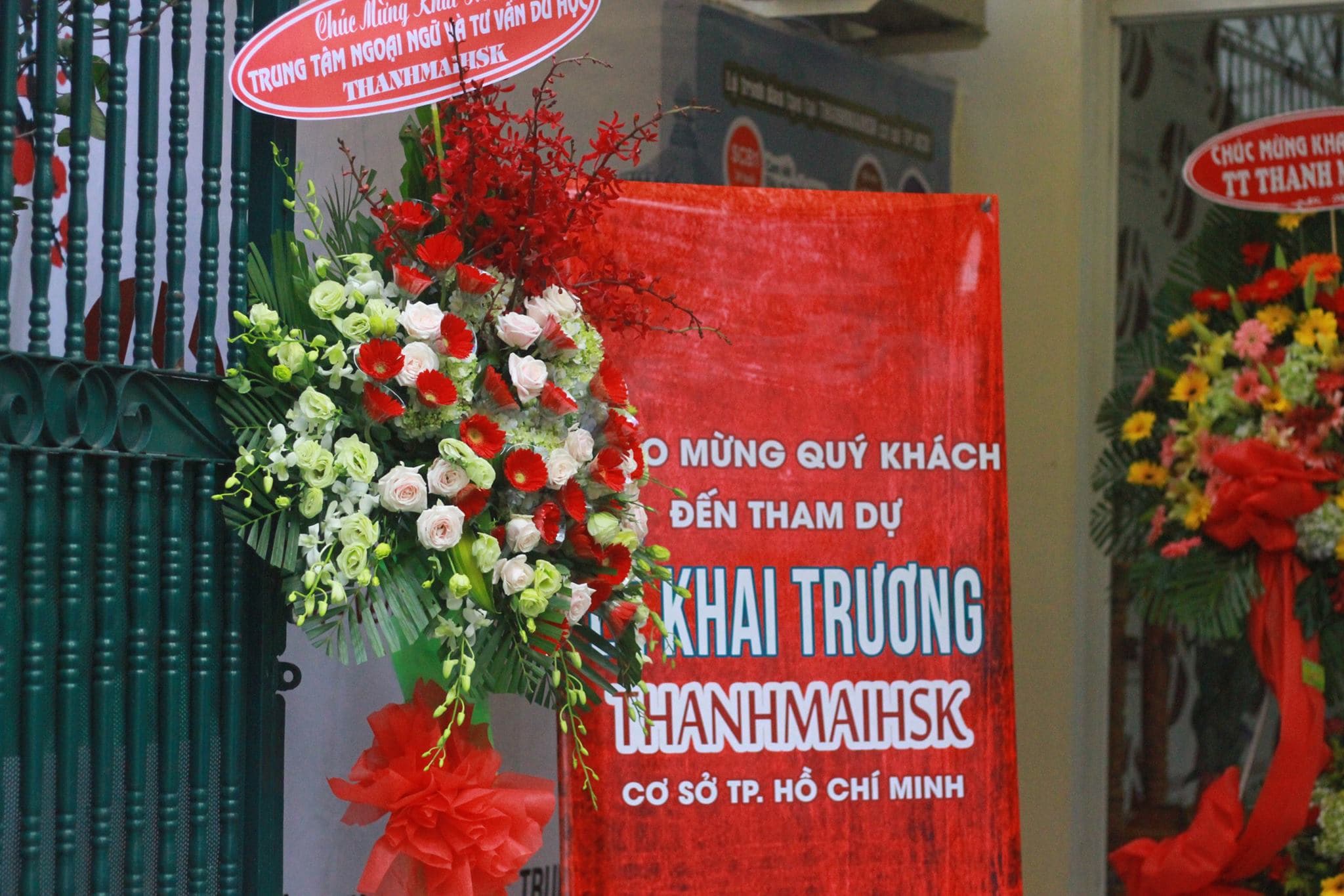 Phát triển diện rộng